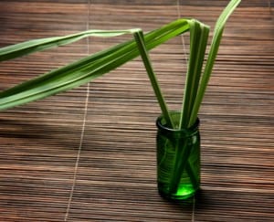 three leaves of lemongrass bent coming out of a 1 ounce green glass bottle on a rattan covered table
