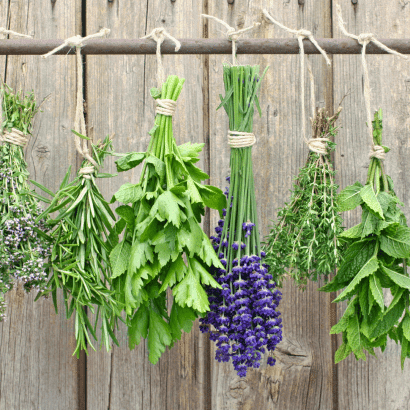 Caribbean bush herbs for natural soaps